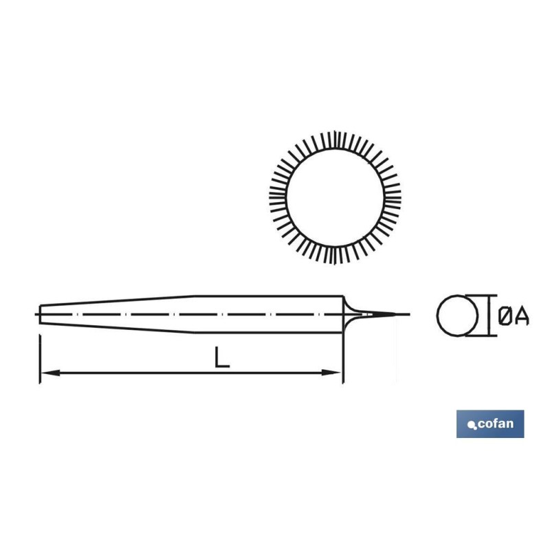Escofina redonda | Dos medidas disponibles | Mango intercambiable y ergonómico | Modelo extrafina