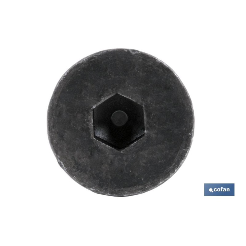 T. DIN 7991 C.10.9 Negro