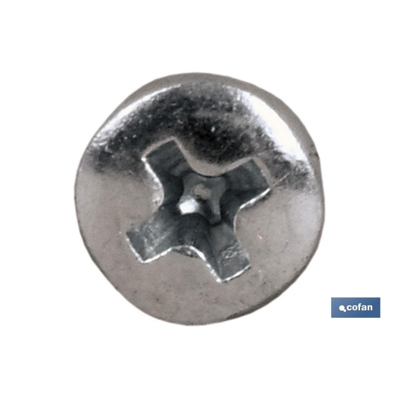 Tornillo Roscachapa Cabeza Cilíndrica Abombada Phillips Zincado