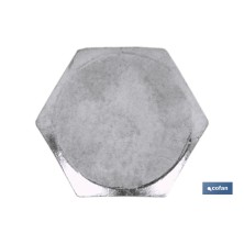 Tirafondos DIN 571 Zincado