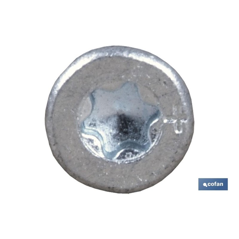 Tornillo Cabeza Plana Torx Anclaje Especial Hormigón. ZINCADO BLANCO SIN CROMO 6