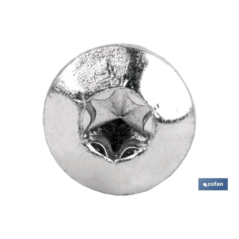Tornillo Inviolable Torx-30
