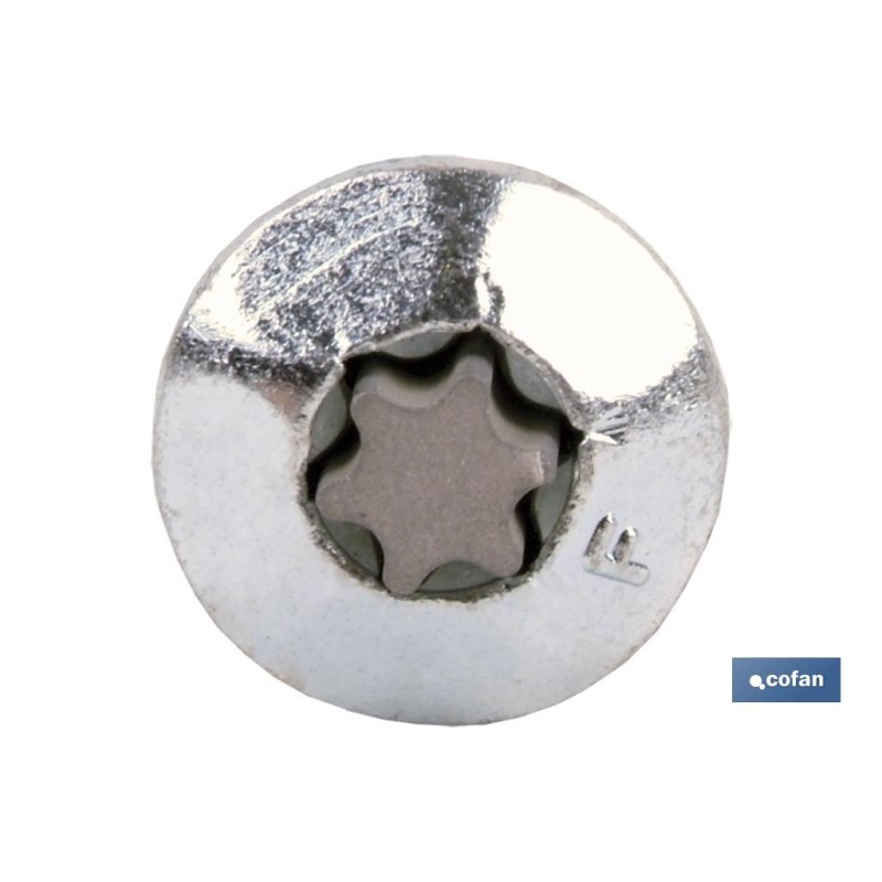 Tornillo Inviolable Torx-30