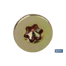 Tornillo Rosca Madera Torx Plus DIN-7505A