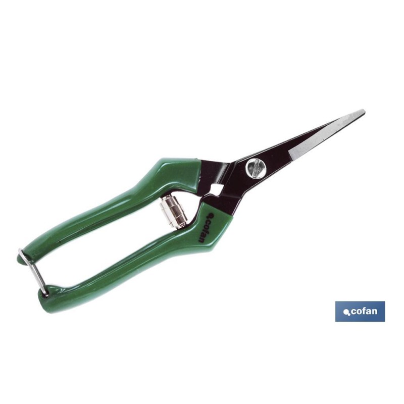 Tijeras de recolección con punta recta y longitud total de 205 mm | Especiales para jardinería