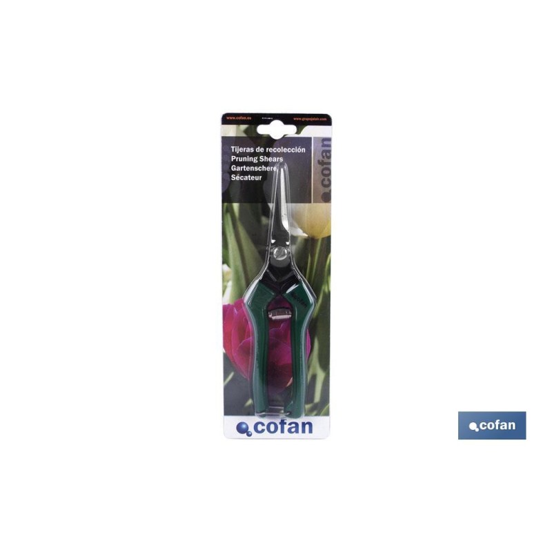 Tijeras de recolección con punta recta y longitud total de 205 mm | Especiales para jardinería