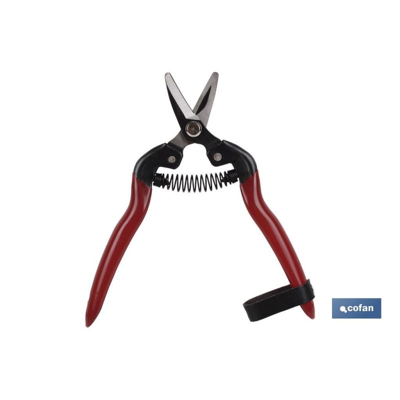 Tijera de recoleccion | Alta calidad | Longitud 165 mm | Punta curvada