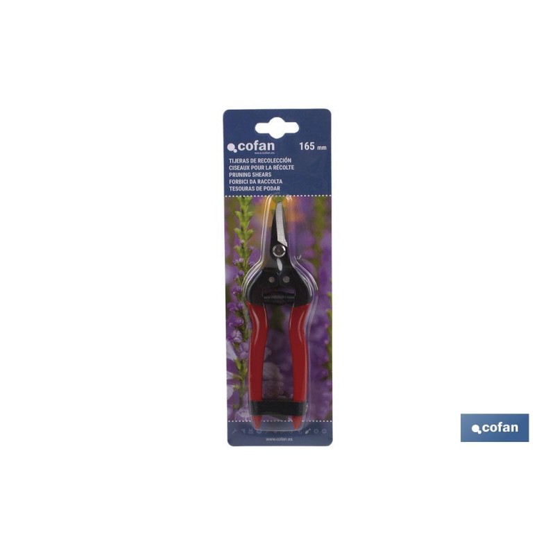 Tijera de recoleccion | Alta calidad | Longitud 165 mm | Punta curvada