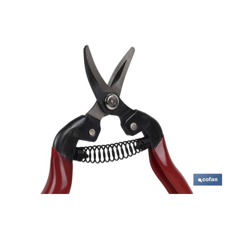 Tijera de recoleccion | Alta calidad | Longitud 165 mm | Punta curvada