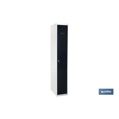 Taquilla de acero inicial de 1 puerta | Color: gris | Medidas: 180 x 30 x 50 cm