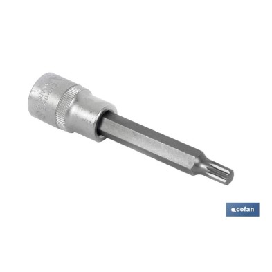 Llave de vaso de 1/2 | Fabricada en acero al cromo vanadio de alta calidad | Con punta larga XZN 10